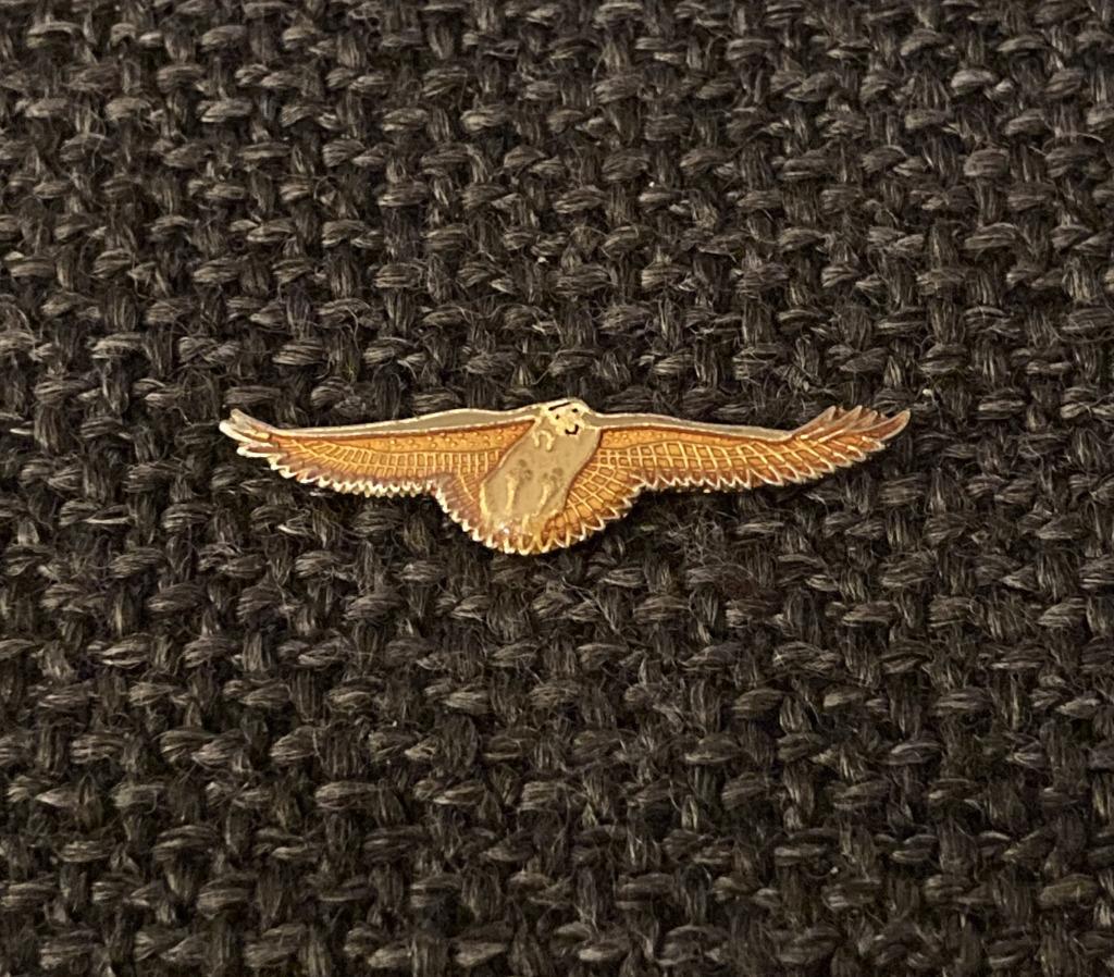PIN - UIL - CHOUETTE - OWL, Envoi, Utilisé, Animal et Nature, Insigne ou Pin's