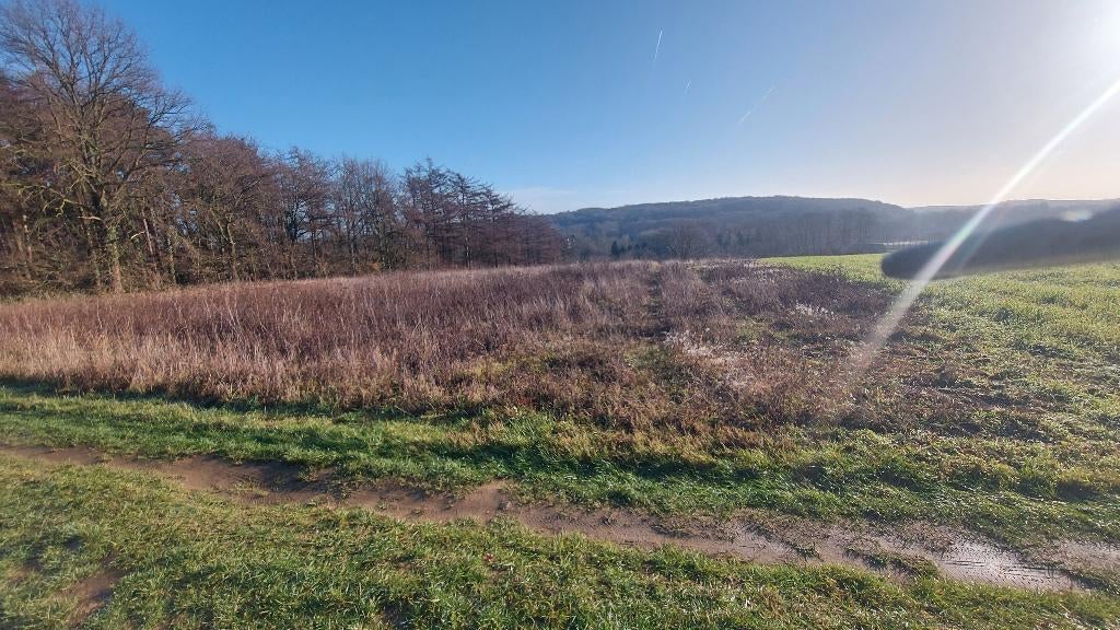 Terres agricoles, Sint Pieters Rode, 1500 m² ou plus