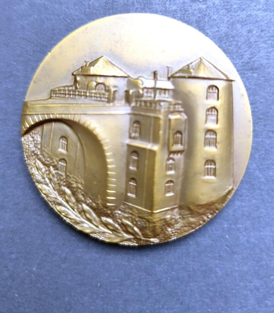 Médaille namuroise, Enlèvement ou Envoi
