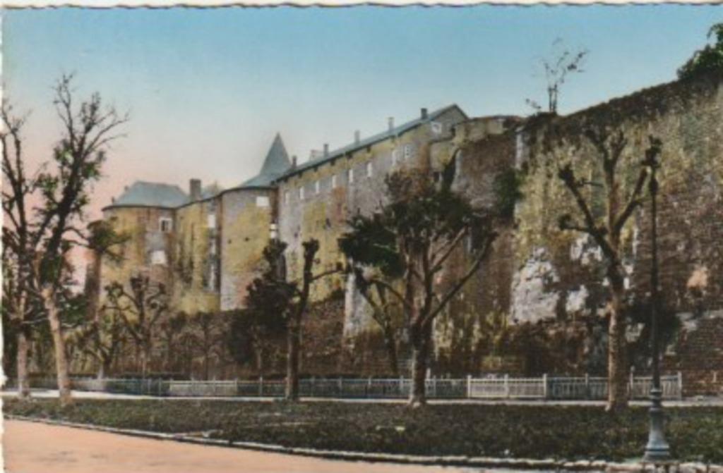 SEDAN    LE CHATEAU    CARTE POSTALE, Collections, Enlèvement ou Envoi, Non affranchie, France