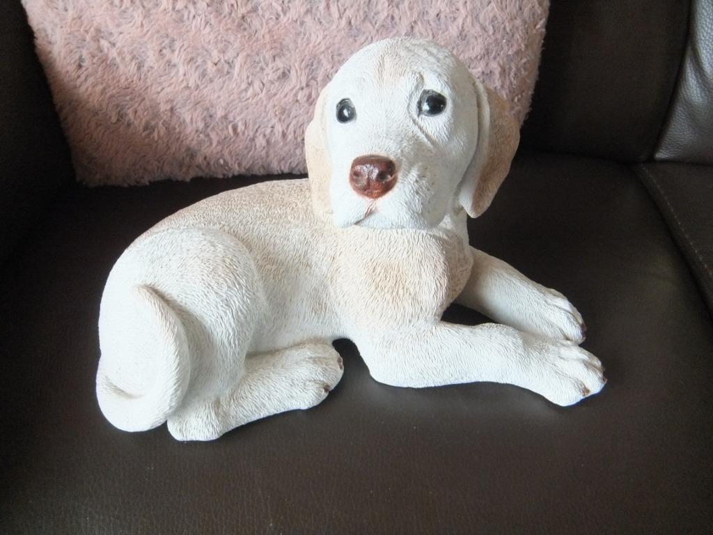 hondenbeeld,Labrador Golden Retriever, Ophalen of Verzenden, Zo goed als nieuw
