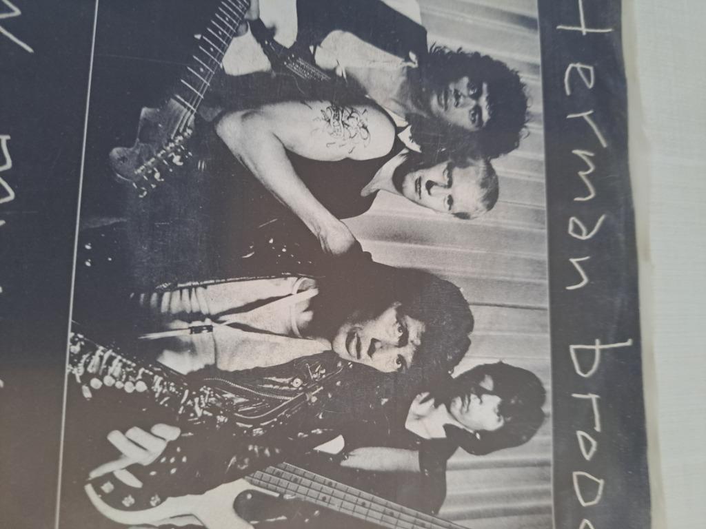 Herman brood, Cd's en Dvd's, Vinyl Singles, Ophalen of Verzenden