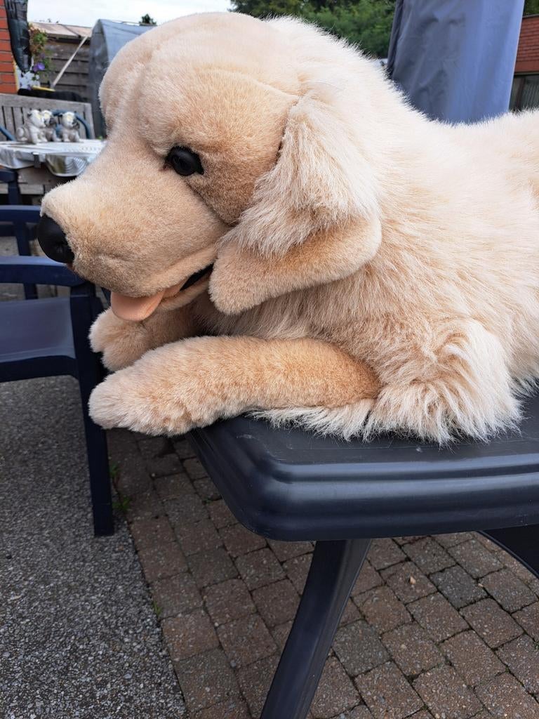 Grand chien redriver doré en peluche, couleur écrue, propre , Enlèvement ou Envoi, Neuf, Autres types