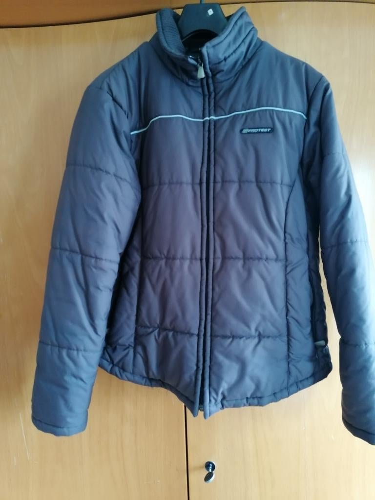 Winterjas, Bruin, Maat 46/48 (XL) of groter, Ophalen of Verzenden, Protest