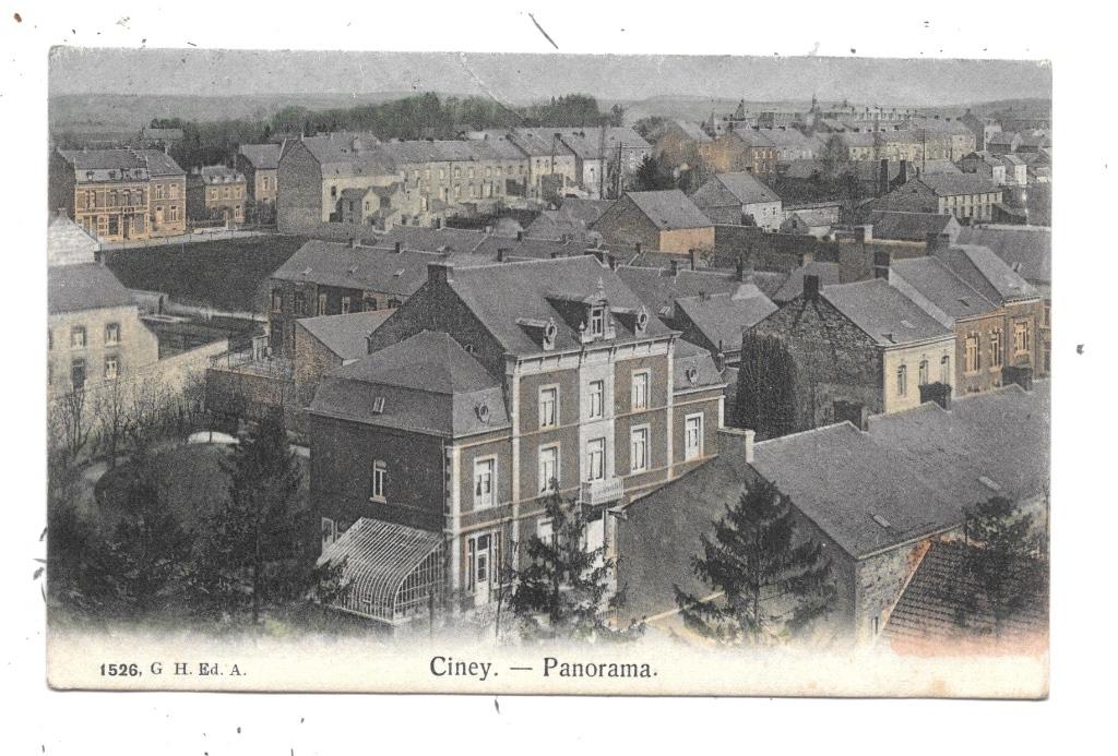 Ciney NA55: Panorama 1909, Collections, Enlèvement ou Envoi, Avant 1920, Affranchie, Namur