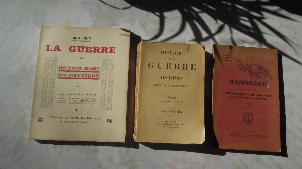 BOEKEN WO1, gepubliceerd 1915, 1916, 1931, Enlèvement ou Envoi, Avant 1940, Général