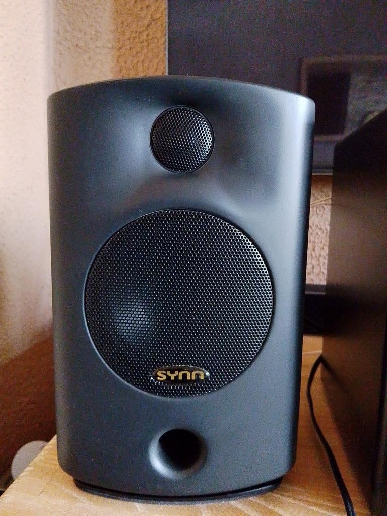 Synn audio HB502 2-way 150 watt boxen, Ophalen of Verzenden, Zo goed als nieuw