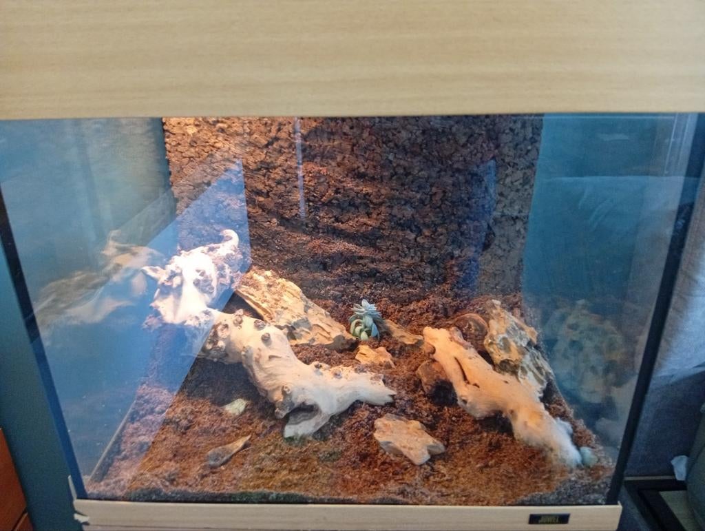 Aquarium avec mobilier assorti, Enlèvement, Aquarium vide