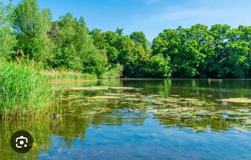 Cherche étang a vendre province de Namur