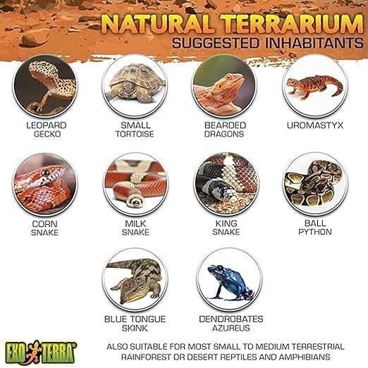 terrarium van glas | GRATIS LEVERING, Dieren en Toebehoren, -, Verzenden, -, Nieuw