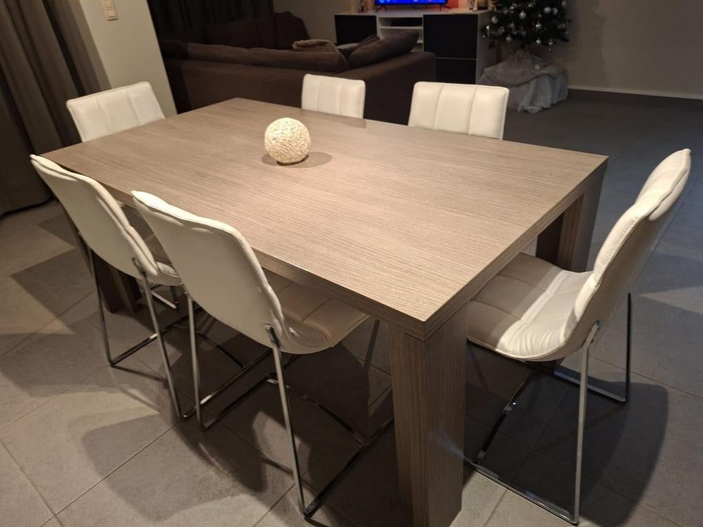 Complete eetplaats, Huis en Inrichting, Ophalen, Zo goed als nieuw, Modern, 6 tot 8 stoelen