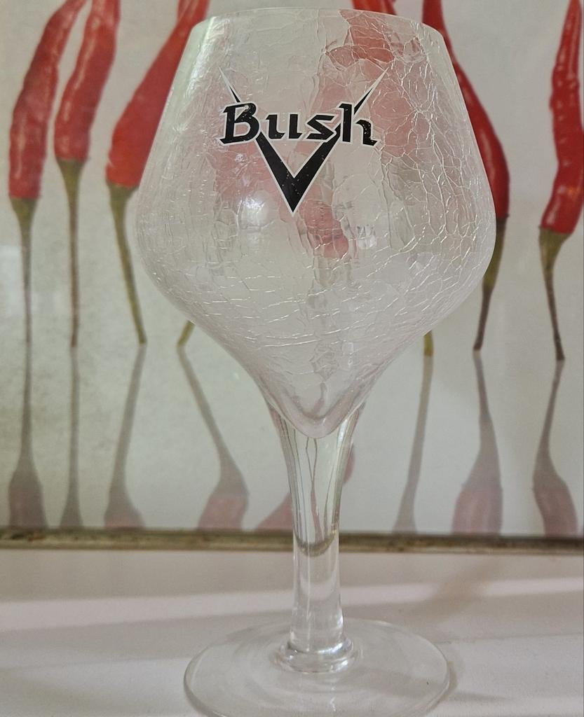 Bush | bierglas, Verzamelen, Ophalen, Gebruikt, Bierglas