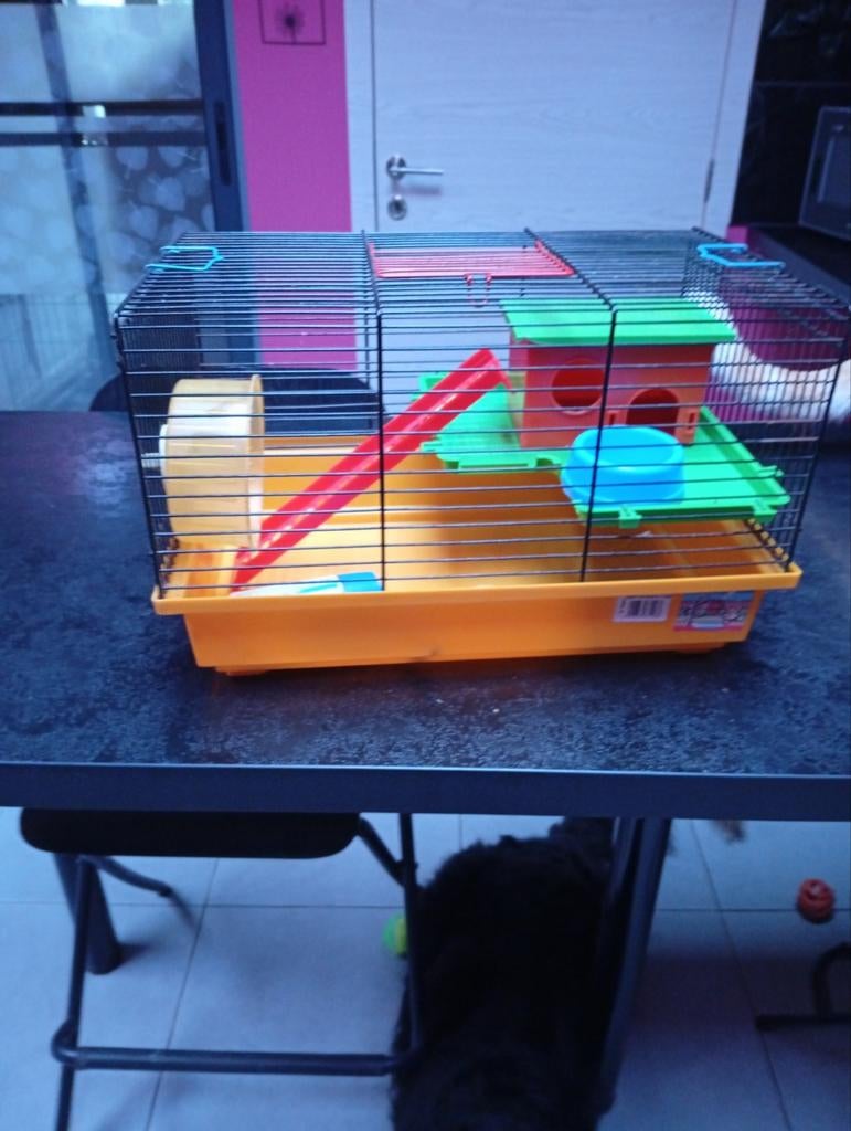 Kleine kooi voor knaagdieren, Ophalen of Verzenden, Zo goed als nieuw, Kooi