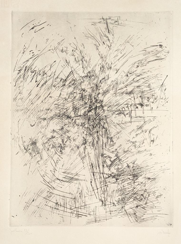 ets giethoorn - Jules lismonde, Antiek en Kunst, Kunst | Etsen en Gravures, Ophalen of Verzenden