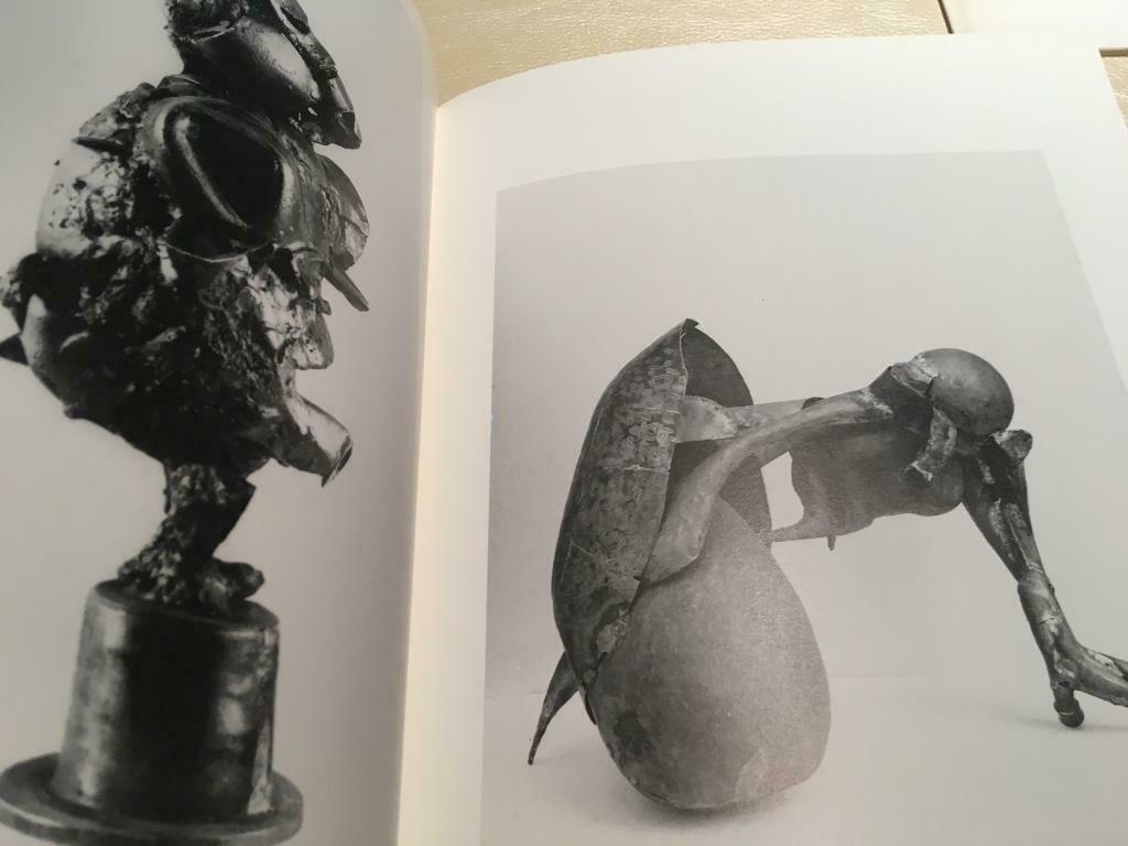 Roel D’Haese sculpturen tekeningen Cobra 120pag, Boeken, Ophalen of Verzenden, Zo goed als nieuw, Beeldhouwkunst