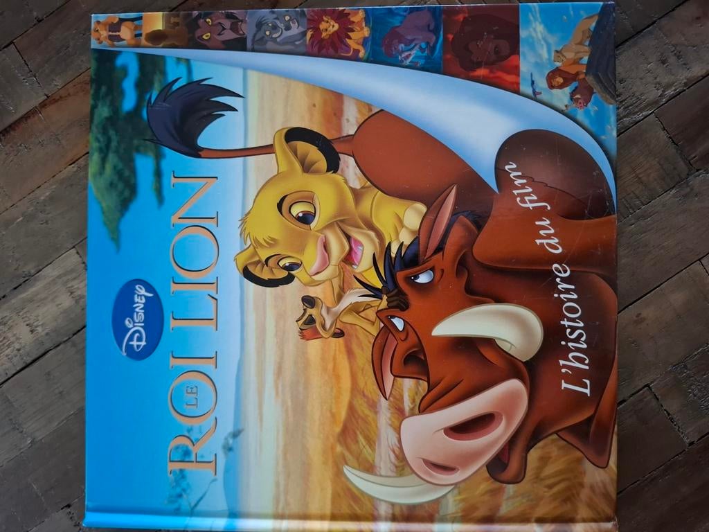 Disney's The Lion King/ Filmverhaal/Zo goed als nieuw, Boeken, Ophalen