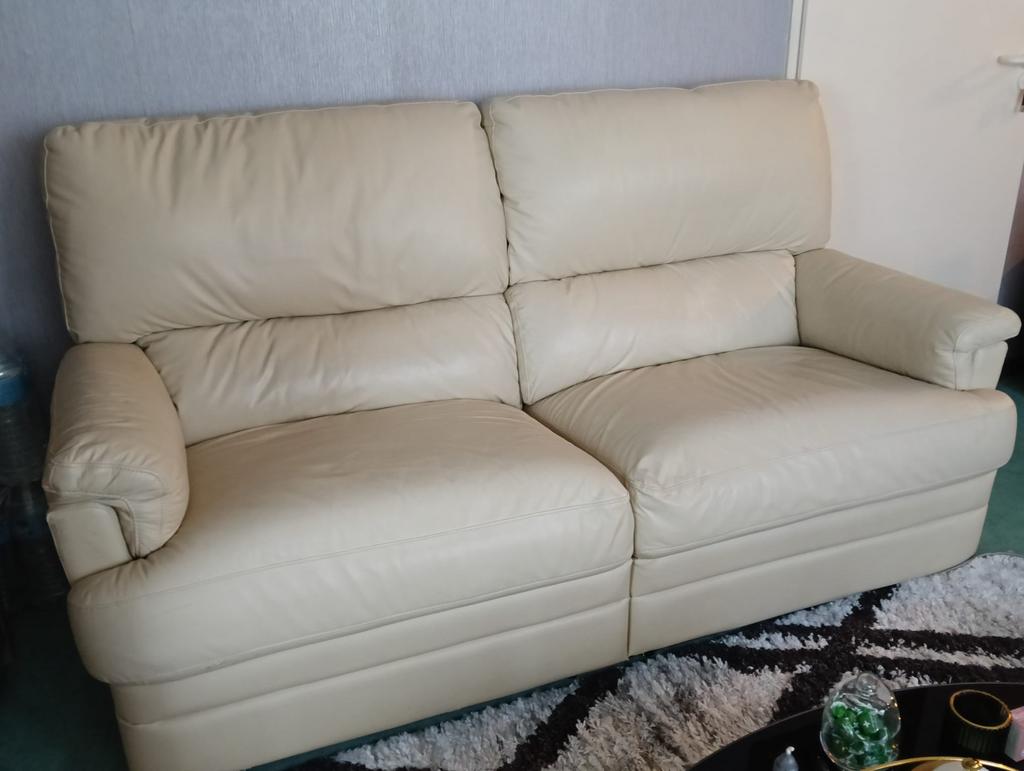 Sofa’s, Ophalen, Zo goed als nieuw, Leer