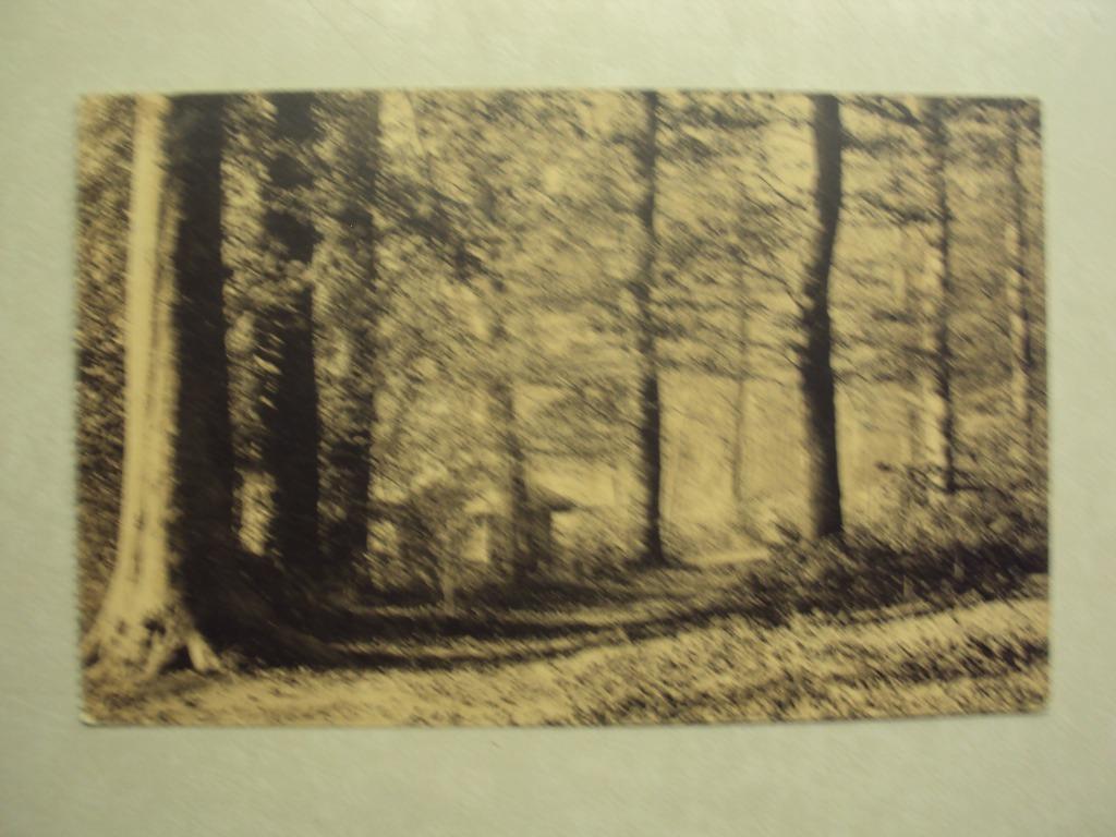 60074 - LIGUE DES AMIS DE LA FORET DE SOIGNES - VALLON, Envoi