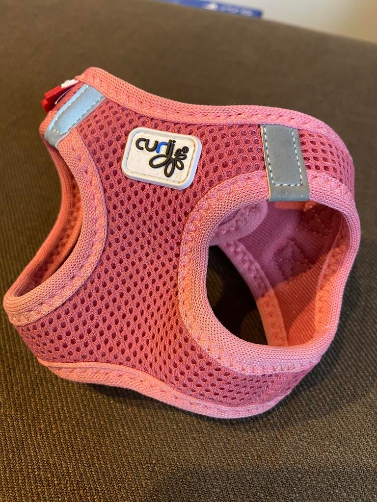 Harnais pour tout petit chien ou chat, Dieren en Toebehoren, Ophalen, Nieuw, Hondenriem-accessoire
