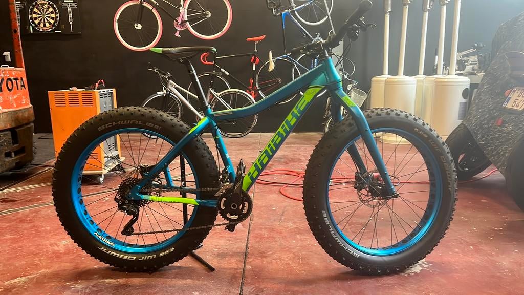 Haibike fat curve 6,10, Fietsen en Brommers, Ophalen, Zo goed als nieuw
