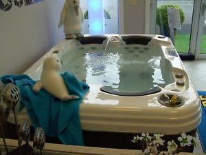 jacuzzis Wellis avec garanties et services : 0476885653, Enlèvement ou Envoi, Neuf, Soins du corps