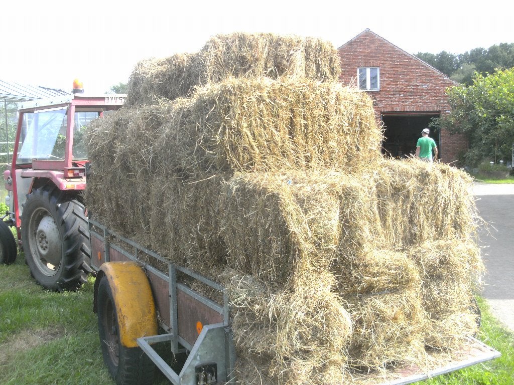 kleine balen hooi, Enlèvement, Autres espèces