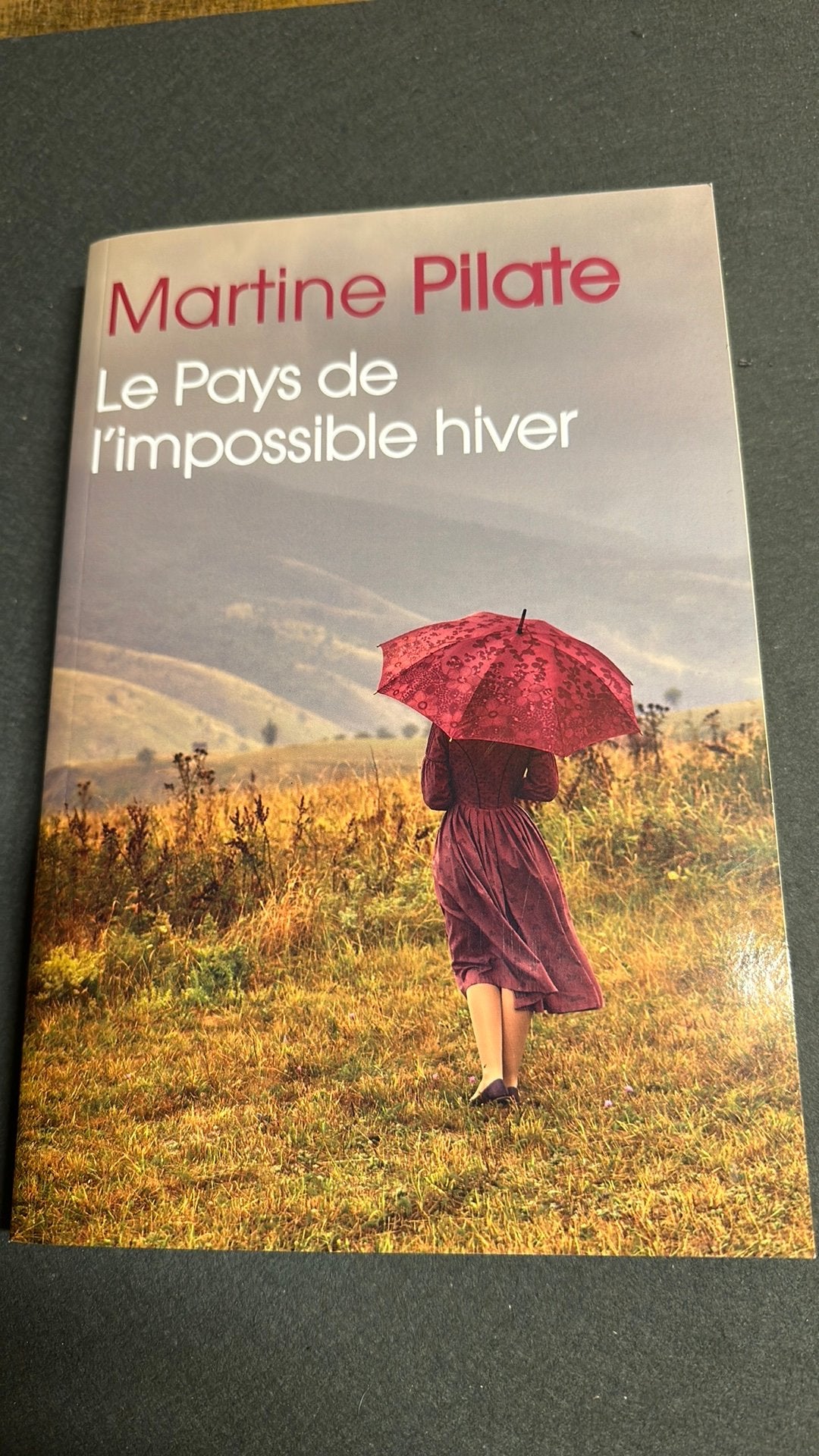 Le pays de l’impossible hiver de Martine Pilate, Livres, Romans, Enlèvement ou Envoi, Comme neuf