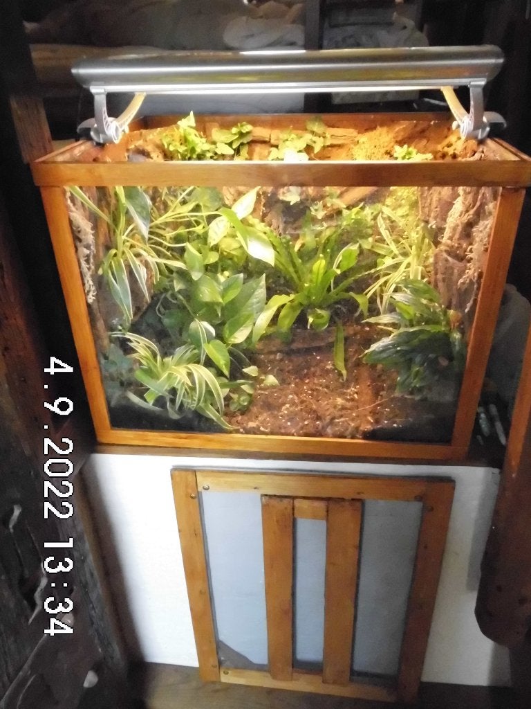 Terrarium, Enlèvement, Utilisé, Terrarium ou Paludarium