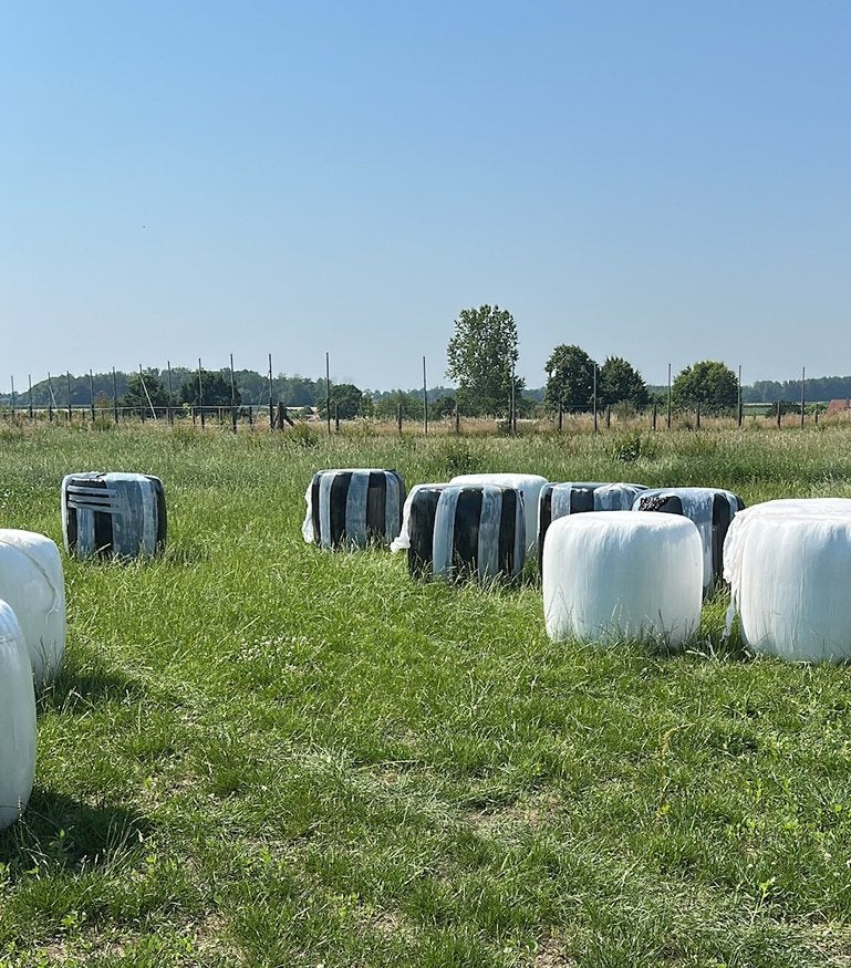 Midi hooibalen, Dieren en Toebehoren, Ophalen, Vee