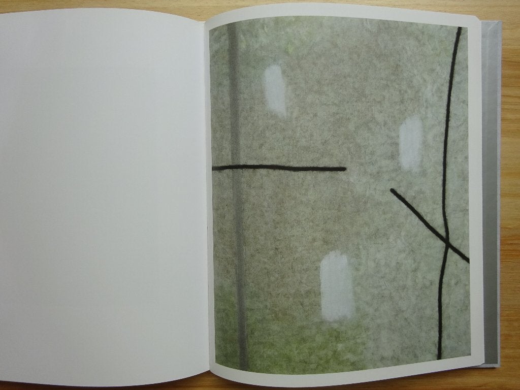 Marcase - 2016 Zebrastraat Gent, Boeken, Ophalen, Nieuw, Schilder- en Tekenkunst
