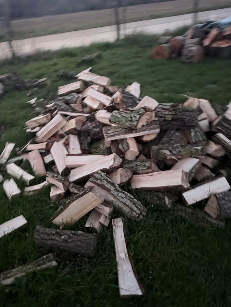 Wilgen hout te koop, Tuin en Terras, Brandhout, Ophalen