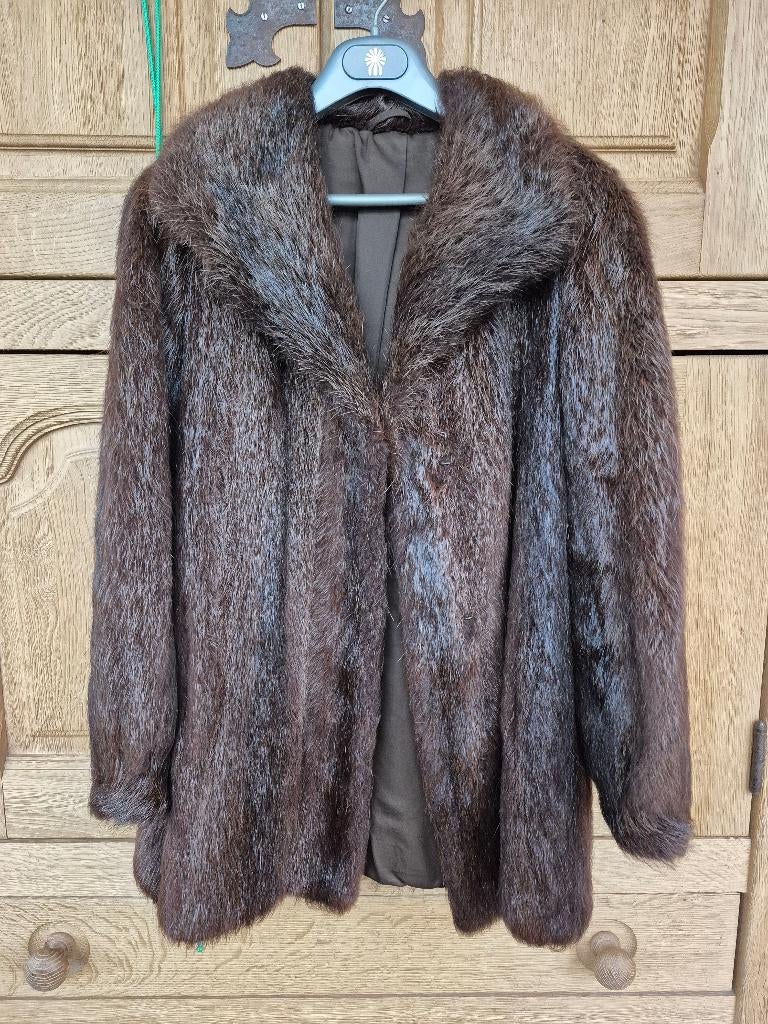 Bontmantel spitsnutria met certificaat, Kleding | Dames, Jassen | Winter, Zo goed als nieuw, Maat 42/44 (L), Bruin, Ophalen