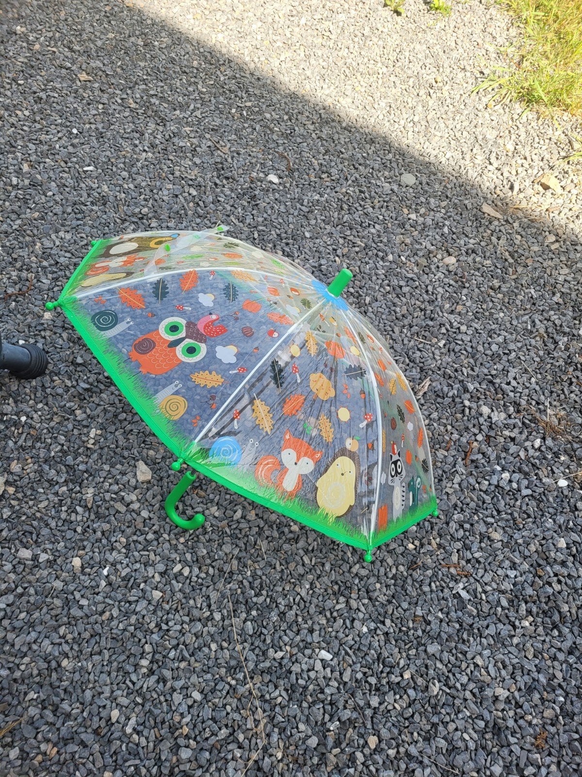 Parapluie vert plastifié