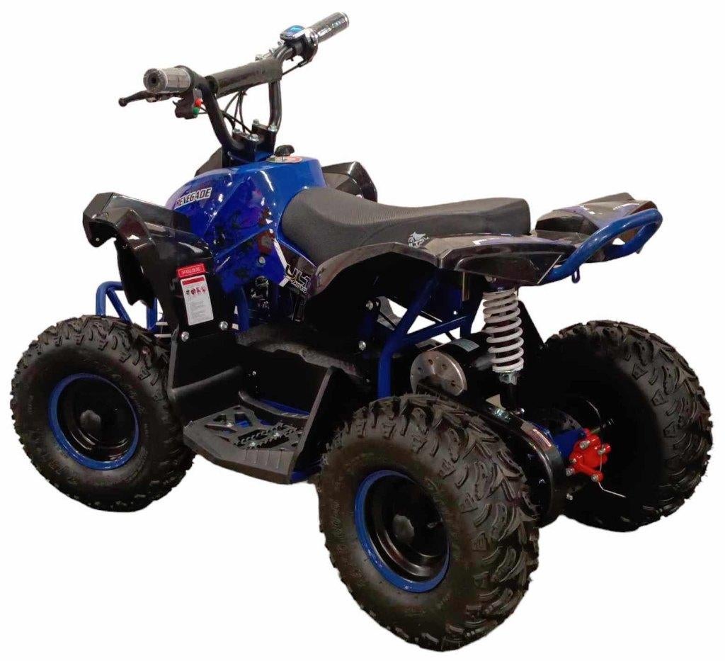 QUAD ÉLECTRIQUE ENFANT D1000 • Clé de bridage parental, Ophalen, Nieuw