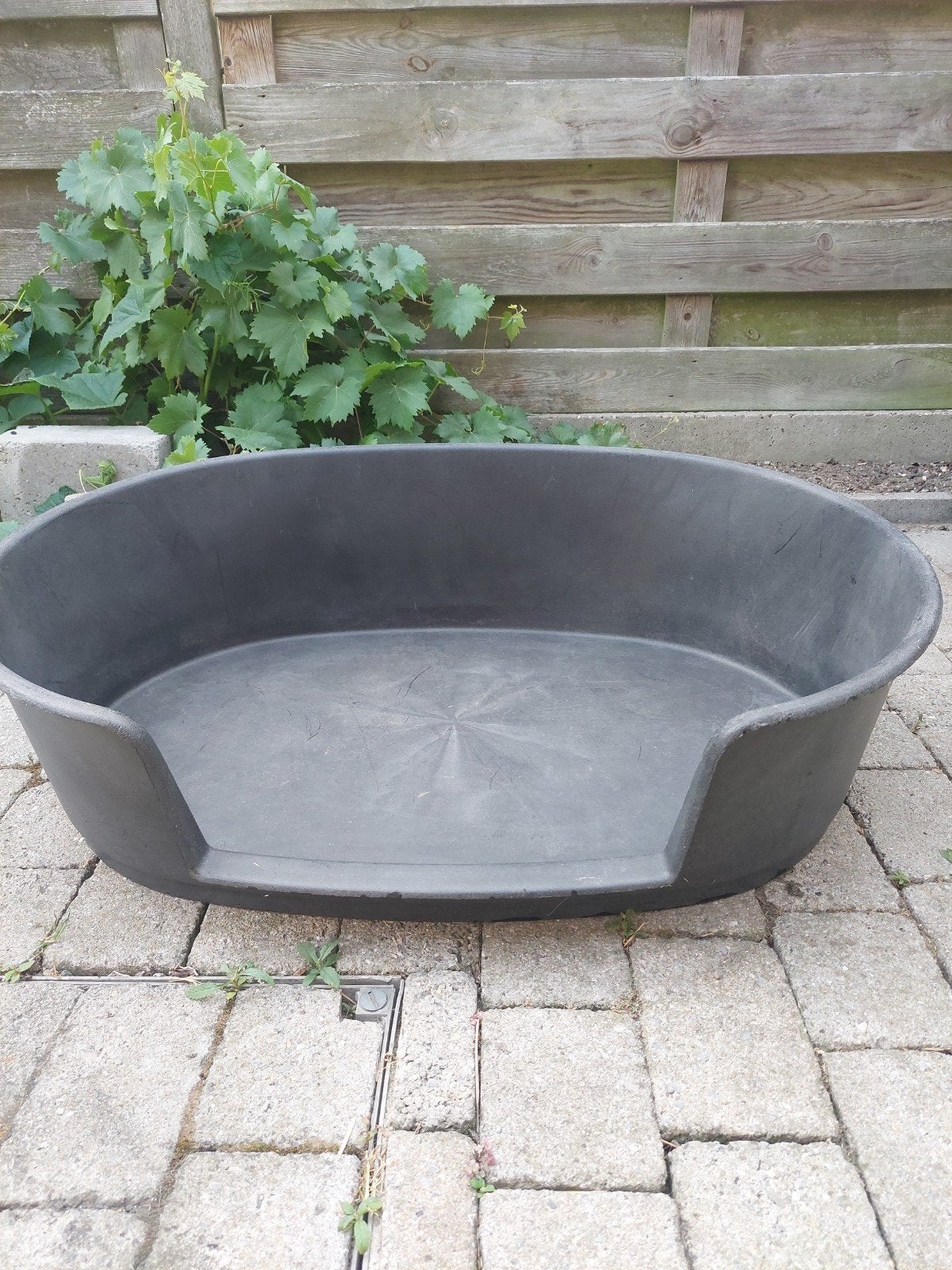 Hondenmand, Dieren en Toebehoren, Ophalen