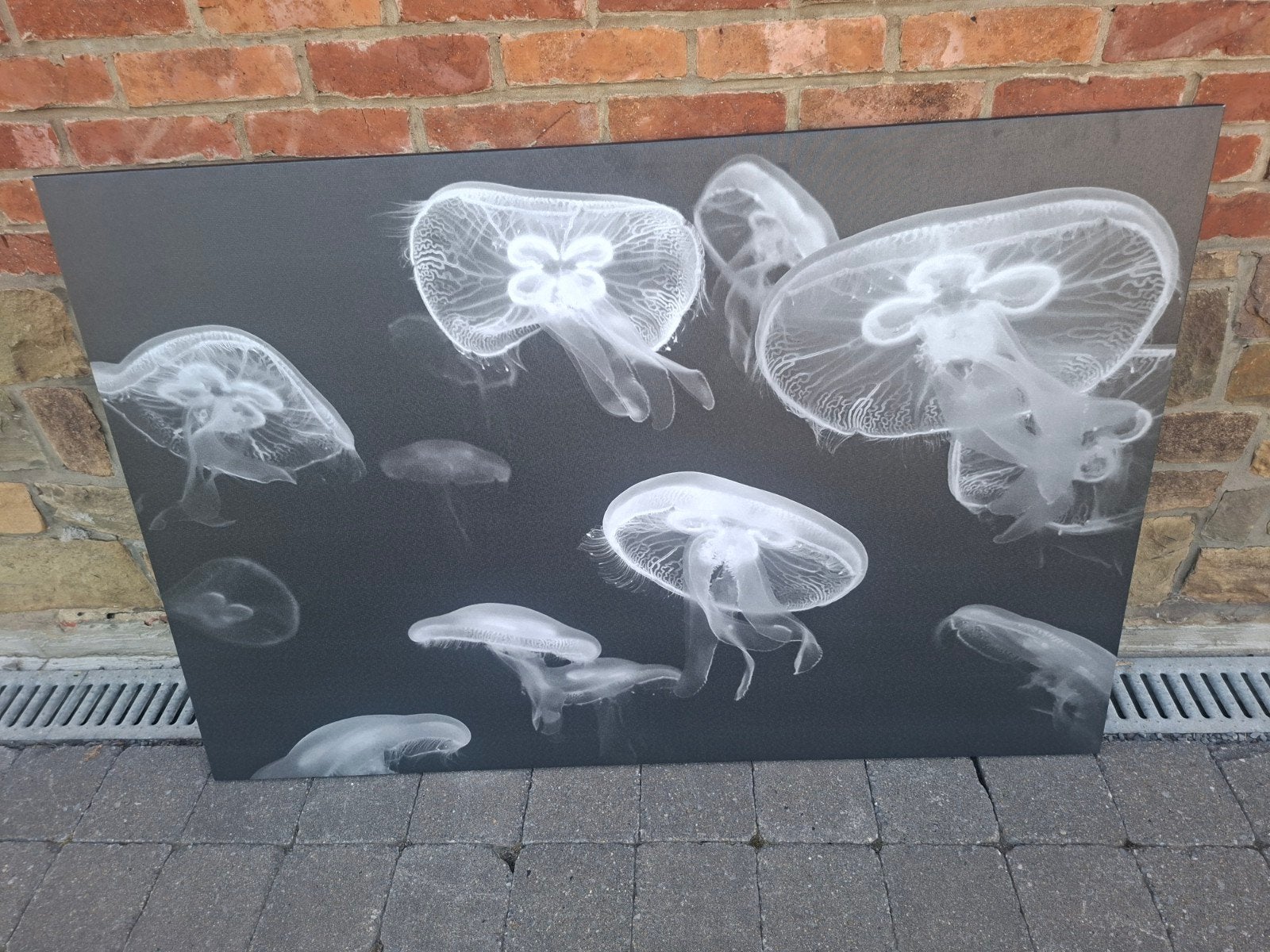 Schilderij van kwallen op canvas, Ophalen