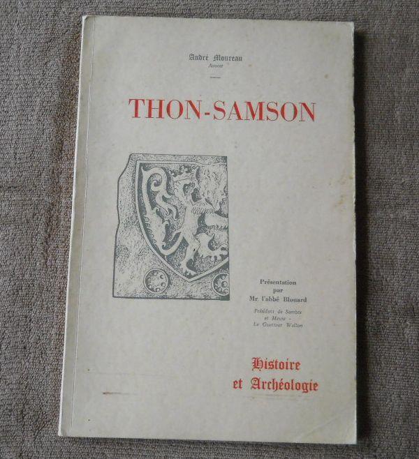 Thon - Samson - Histoire et archéologie - Andenne, Livres, Enlèvement ou Envoi, Utilisé