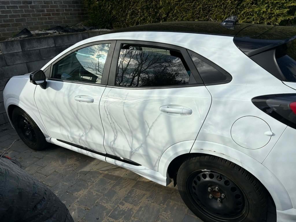 Ford puma st, Bedrijf, Te koop, Puma