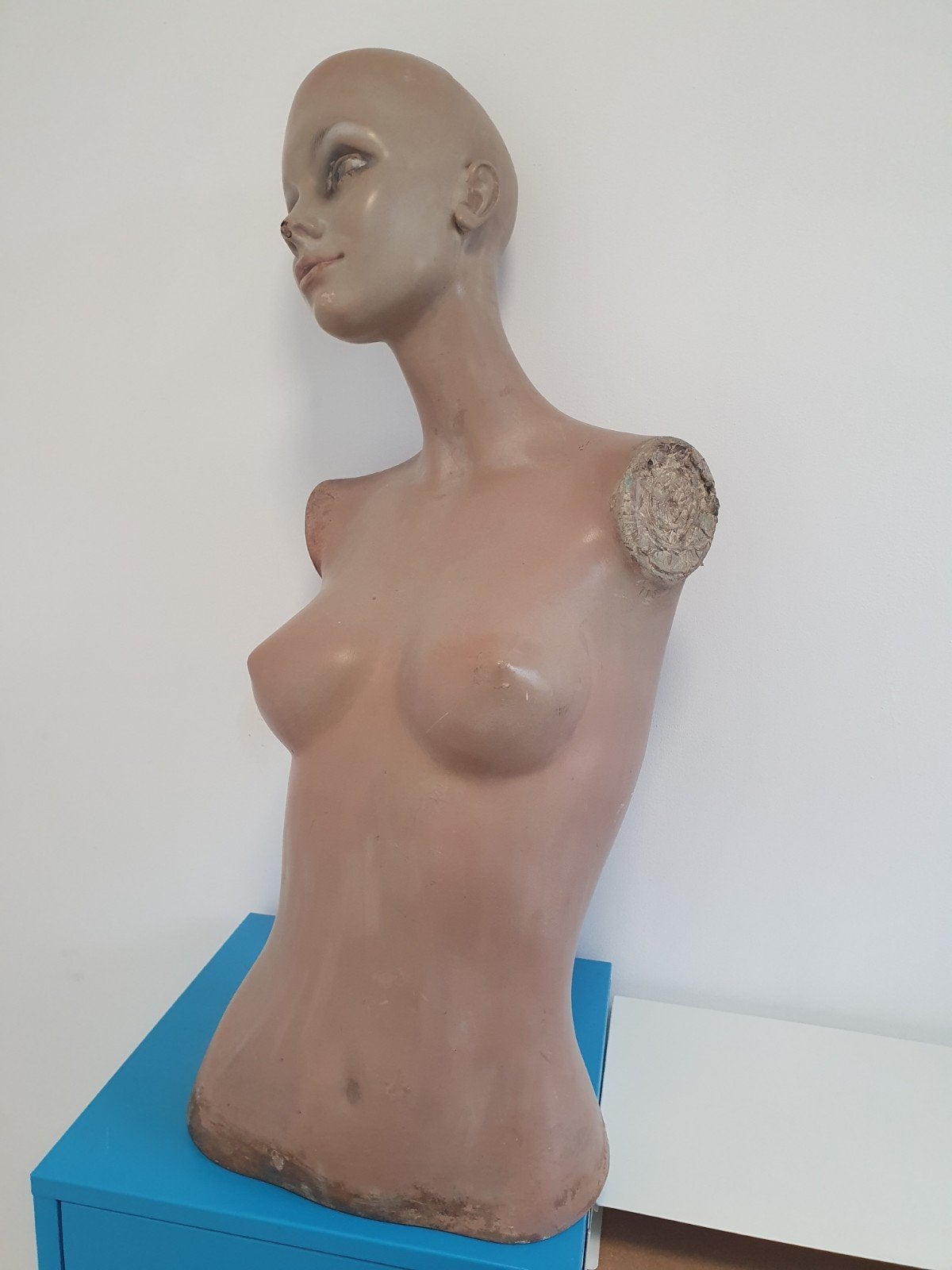 Karakteristieke Vintage Etalagepop Buste, Antiek en Kunst, Ophalen, Gips, Buste