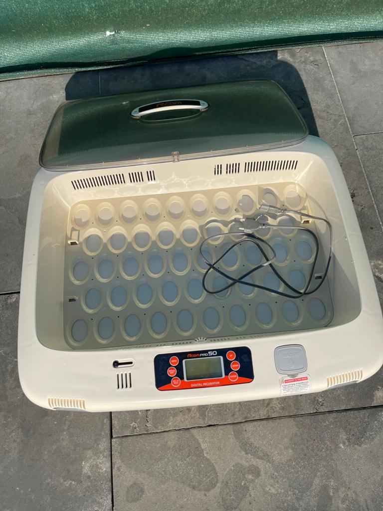 Broedmachine rcom 50 pro, Dieren en Toebehoren, Ophalen, Zo goed als nieuw, Broedmachine