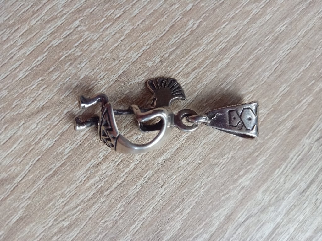 hanger, Ophalen of Verzenden, Zo goed als nieuw, Zilver, Zilver