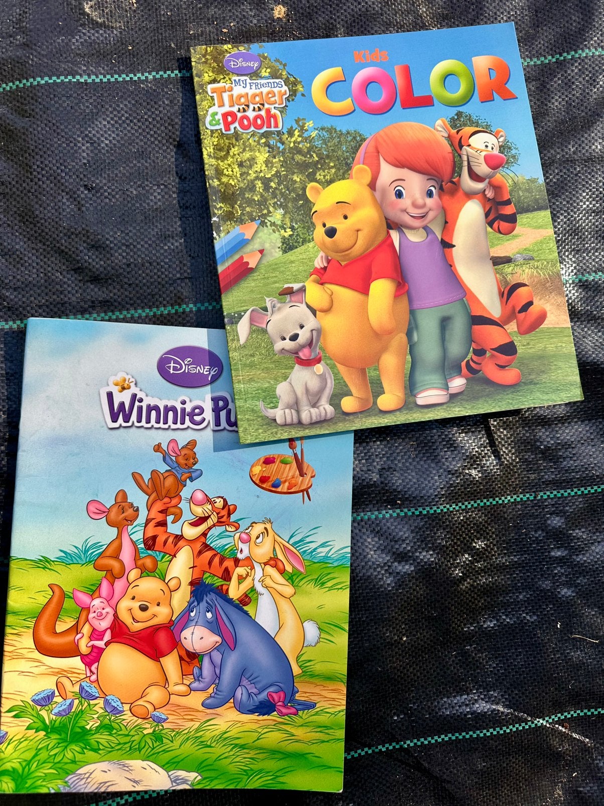 Coloriages Winnie l’ourson, Enlèvement ou Envoi, Utilisé, Plusieurs images