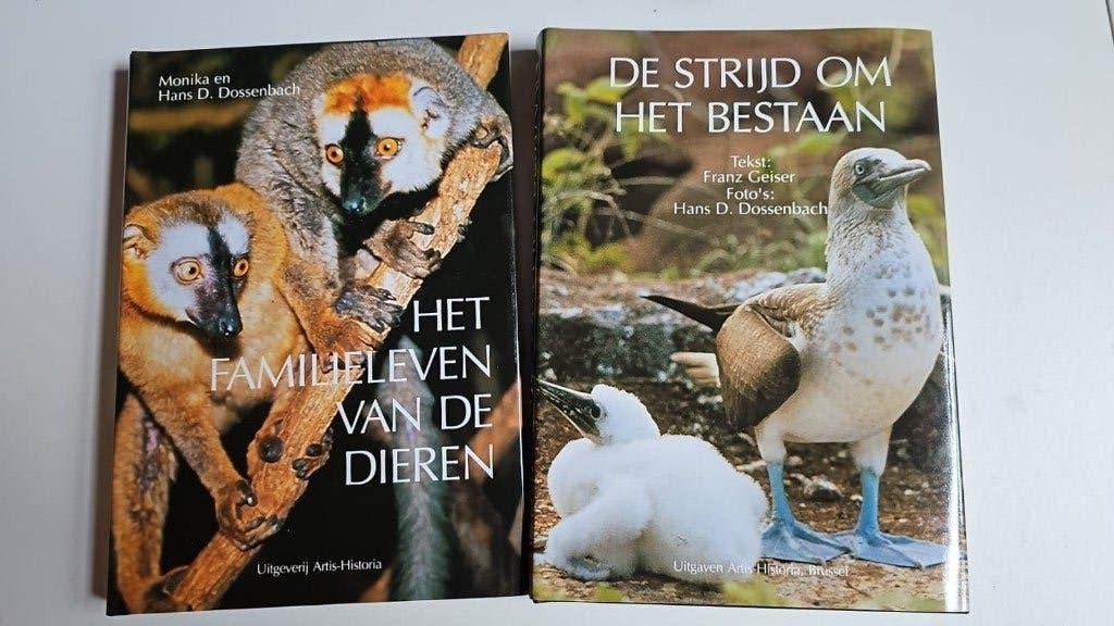 Artis-Hist.: familieleven der dieren & strijd om het bestaan, Enlèvement
