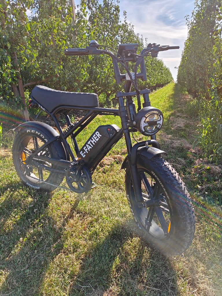 Fatbike V20 PRO - La Souris, Autres marques, 50 km par batterie ou plus, Comme neuf, 59 cm ou plus