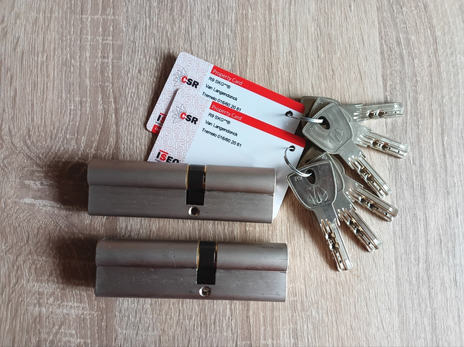 2x Iseo R9 deurslotcilinders met certificaat, Ophalen of Verzenden, Zo goed als nieuw, Slot