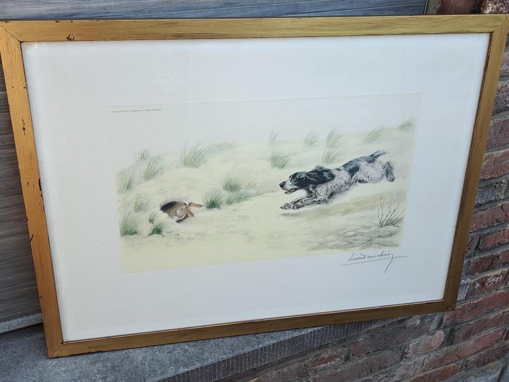 gravure chien de chasse signe leon danchin, Ophalen of Verzenden, Gravure