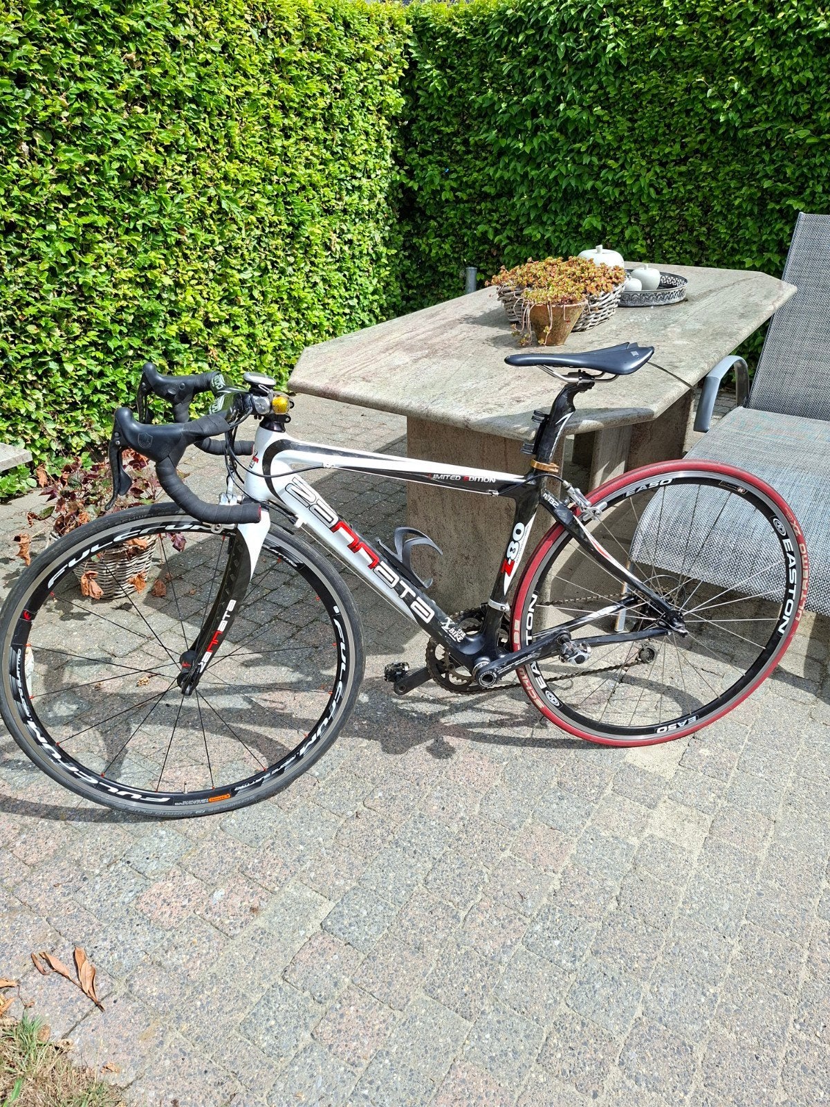 koersfiets, Enlèvement, Carbone