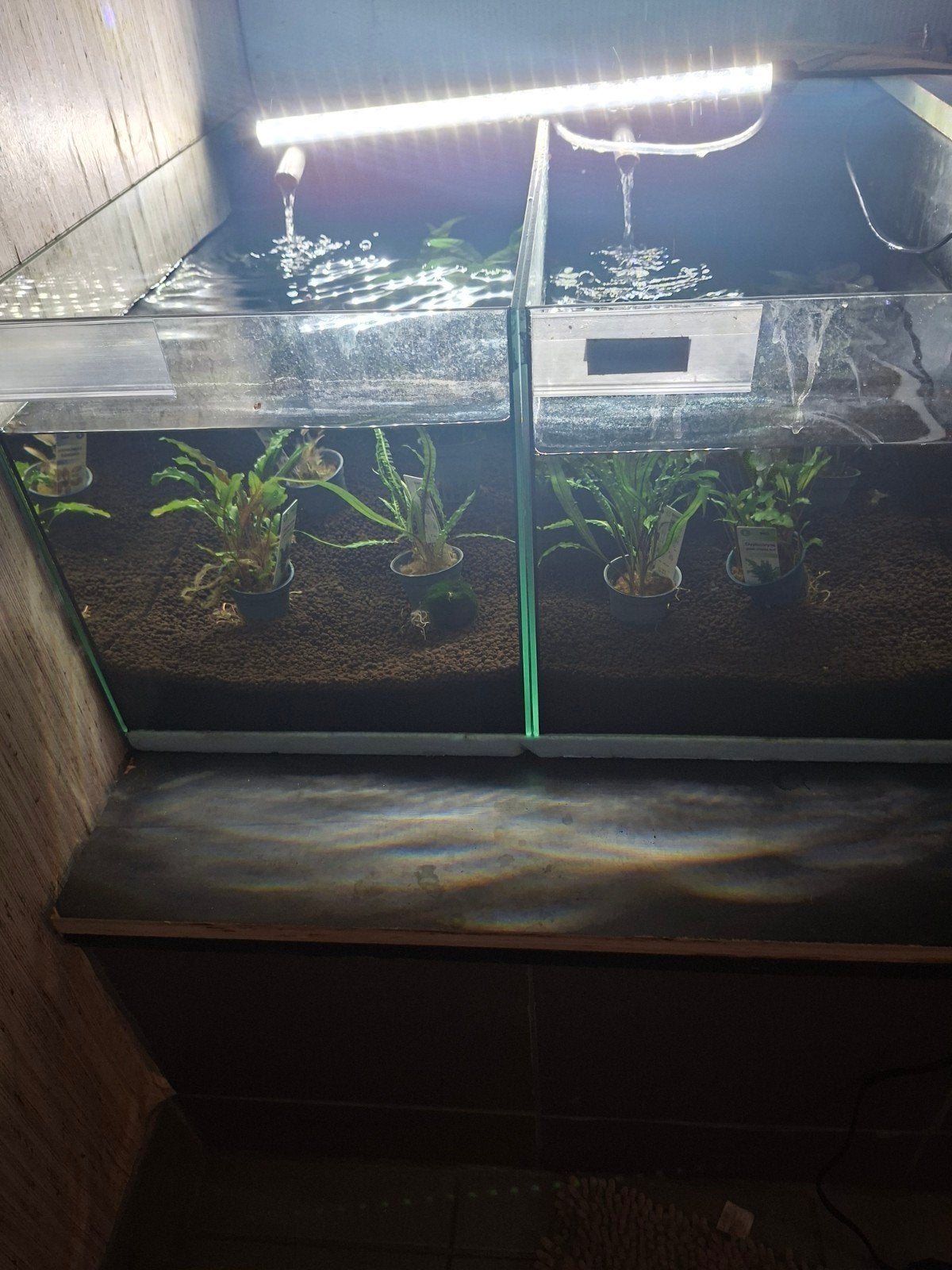 4 aquariums gefilterd op de haburg methode, Ophalen, Filter