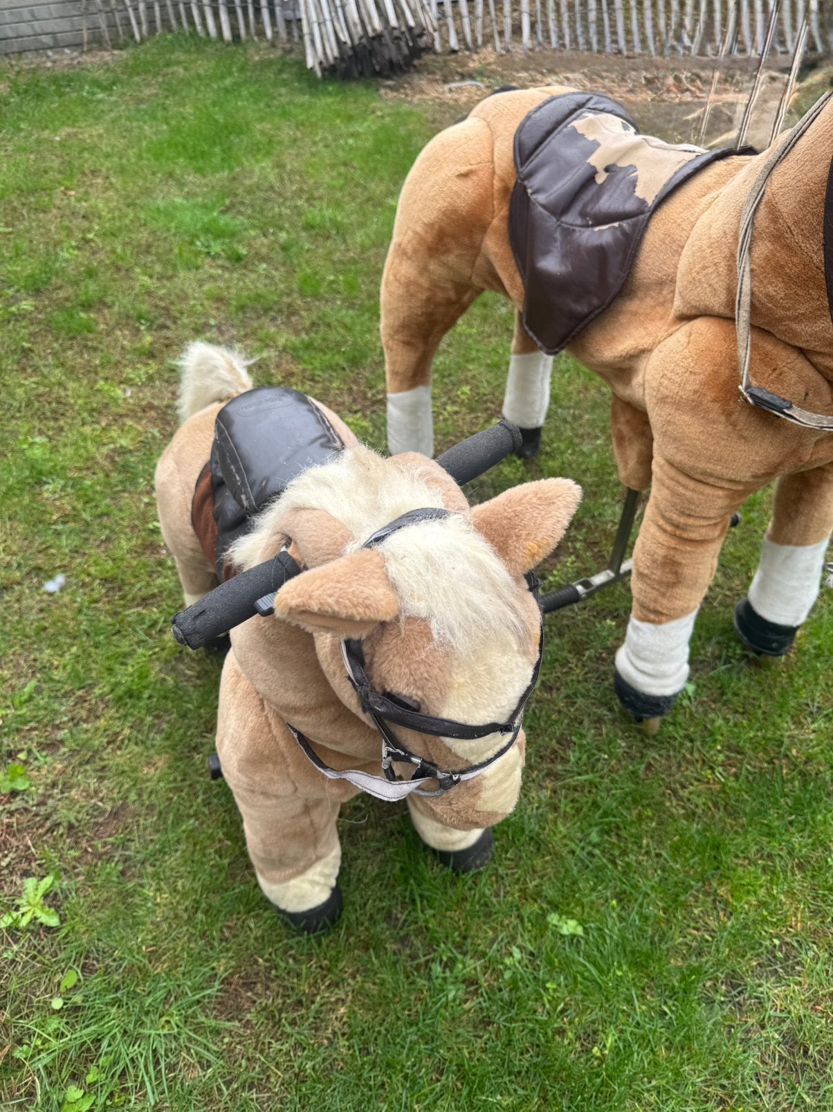 Pony ride, rijdend speelgoed paard ( Maat s en xl ), Ophalen, Gebruikt