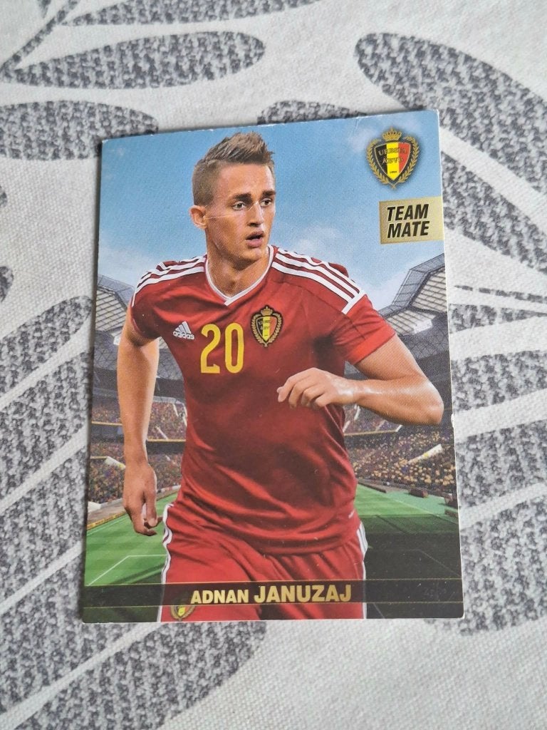 Panini/Voetbalkaart/Adnan Januzaj/Frankrijk EK 2016, Verzamelen, Ophalen of Verzenden, Gebruikt, Spelerskaart